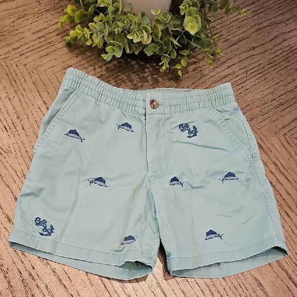 Polo Ralph Luren Light Green Shorts Size 8 - Picture 1 of 13
